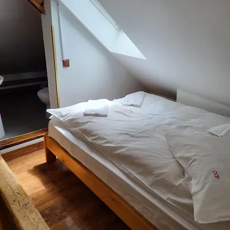 Gasthuis Cetatile Ponorului Padis